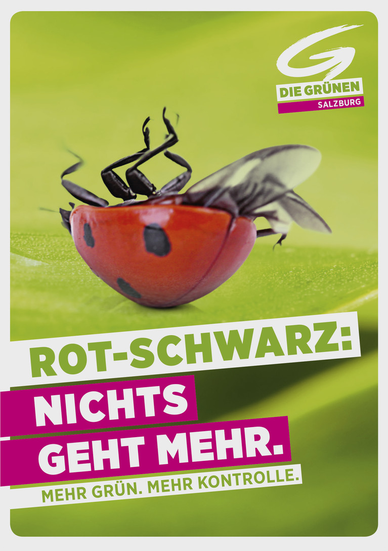 Plakat Die Grünen 2